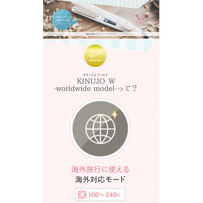 KINUJO 海外兼用ストレートアイロン キヌージョワールド 絹女 DS100(1台)